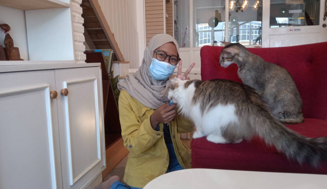 Superbee Cat Cafe – Jauh Jauh Kesini, Eh Disuruh Makan Bareng Kucing
